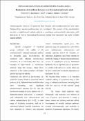 Ескіз