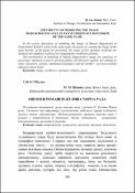 Ескіз