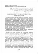 Ескіз