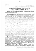 Ескіз